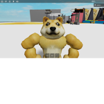 Doges rule!!!!!!!!!!!