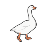 Super Silly Gooses