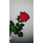 my fri3ndz :)