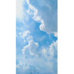 •Cloudy Clothing Shop•