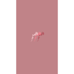 lil Aesthetics <3