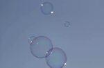 Bubbles fan gorup!