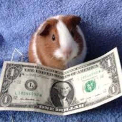 Feed the Guinea Pig!