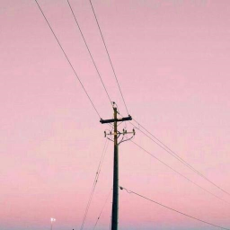 🎀