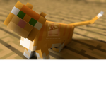 rockdooog fans