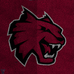 Wildcats: Wildcats Den