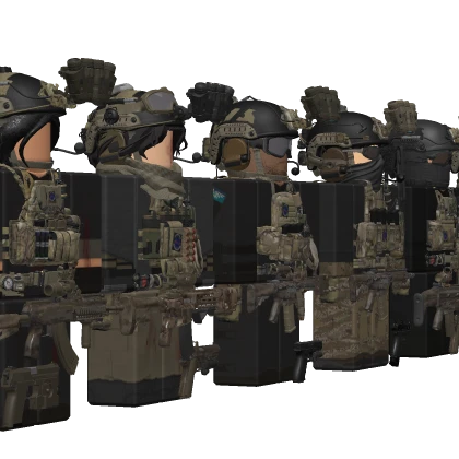 BSAA Operators