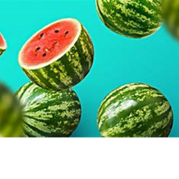 Watermelone border (MEGA WIP)