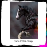 ...BlackStallion...