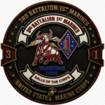 3rd Battalion, 1st Marines Light Infantry