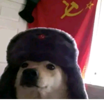UwU va que ri t@s