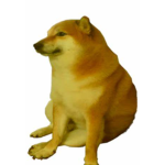 Doge's Productivity