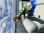 Lake Squad!
