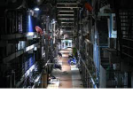 Back Alley Store