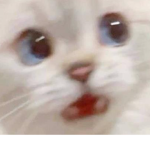 KKKJJ융튱버채널