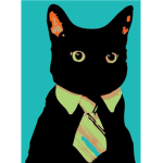 Kitteh Nation