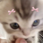 *:・ﾟ ྀི