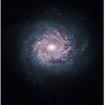 The Universe Authority