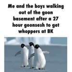 The Goonsesh
