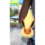 Charizard_735