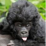 ~monkey~