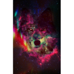 ↓Galaxy Wolf Official Fan Group◄