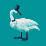 Order of The Swans