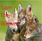 Wolf Girls Save The Wolves