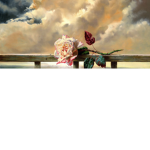 Ange|ic roses