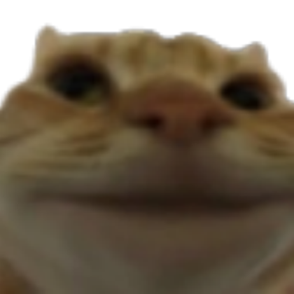 cat meme Roblox decal