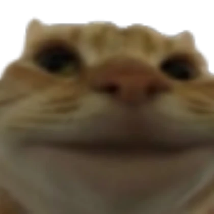 Cat reaction