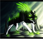 N.Y.W}New York Wolves{