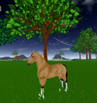 ||-Equine Etiquette-||