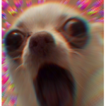 Ｃ Ｏ Ｏ Ｌ Ｆ Ｒ Ｉ Ｅ Ｎ Ｄ Ｓ
