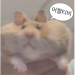 잠시만 하면 로벅쯔가 콸콸콸~
