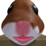 GANG CHOMIK
