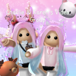 Charlie & Karen’s Video Group