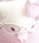 hi sunnies <3