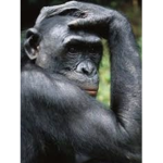 monke god club
