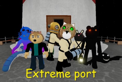 Extreme port 