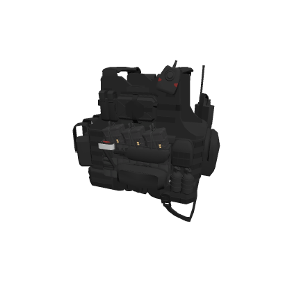 Vest
