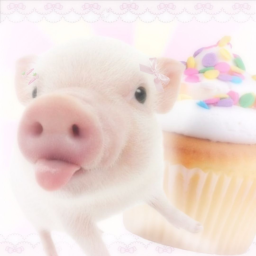 ꒰ ⊹ ˚｡ ⩋  ꒱