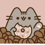 PUSHEEN THE CAT FANS!!!