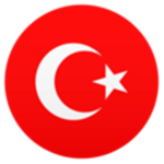 Türklerin ordusu