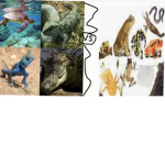 Reptiles vs Amphibians