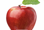The Sweet Apple fam!