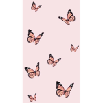 || kates closet ||