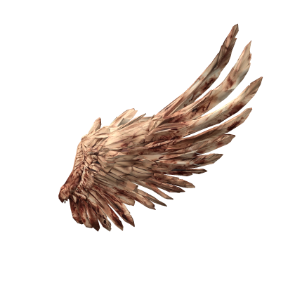 Dirty Angel Wing [R6/L] Roblox item