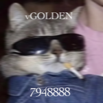 vGOLDEN
