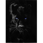 #Black_Panthers